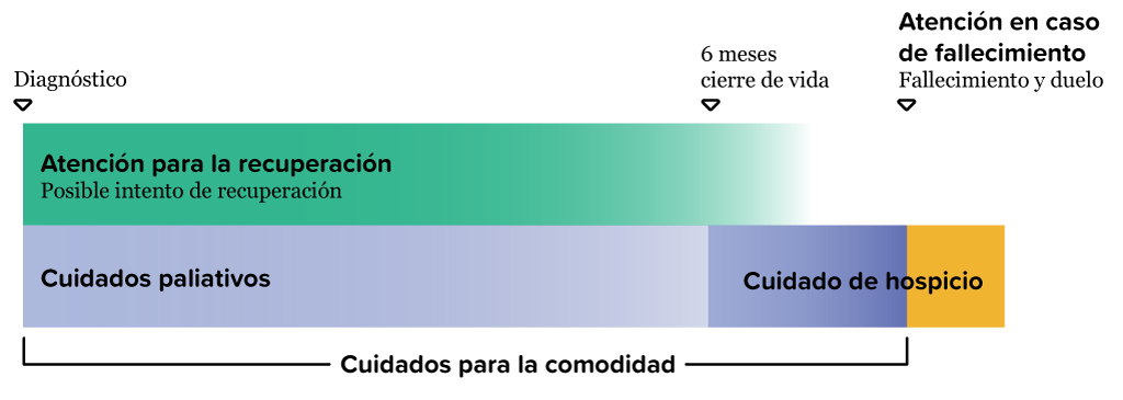 Un diagrama que muestra la atención continua. Empieza con el diagnóstico y muestra la atención curativa, que ocurre durante casi todo
el proceso. El cuidado paliativo también puede
comenzar al momento del diagnóstico. El
cuidado de hospicio puede empezar 6 meses
antes del final de la vida. La atención en el
duelo comienza al momento de la muerte. El
cuidado de alivio también puede ocurrir desde
el diagnóstico hasta la muerte.