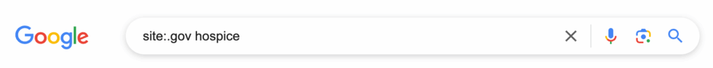 Screenshot of the Google search bar. In the search input field it says site:.gov hospice